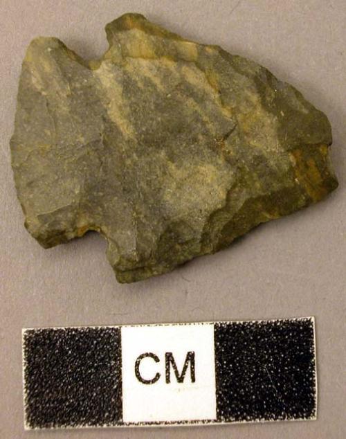 Projectile point