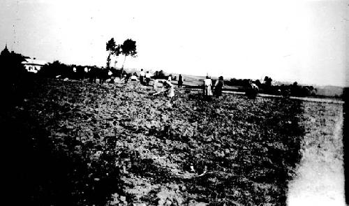 General view of excavation