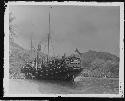 Boat in water in jungle