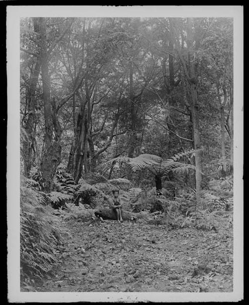 Child in landscape view