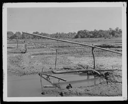 Agricultural view