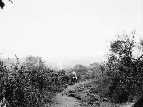 Man riding horse along Cacaquatique Carolina Road