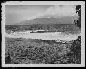 Water in jungle landscape