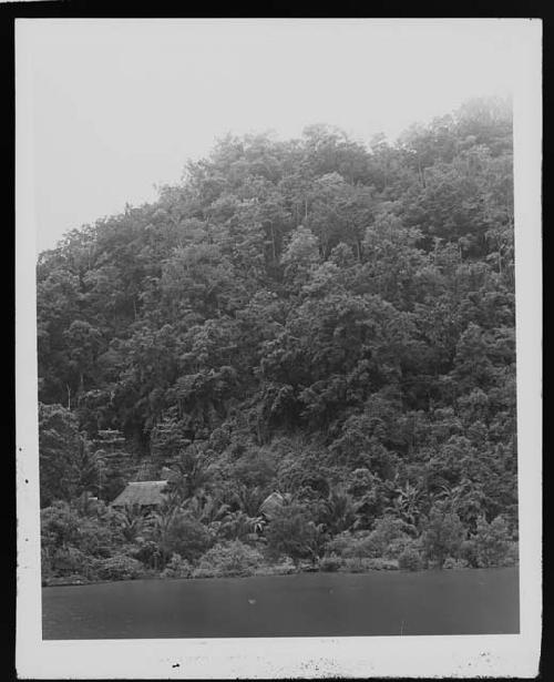 Hut in jungle setting