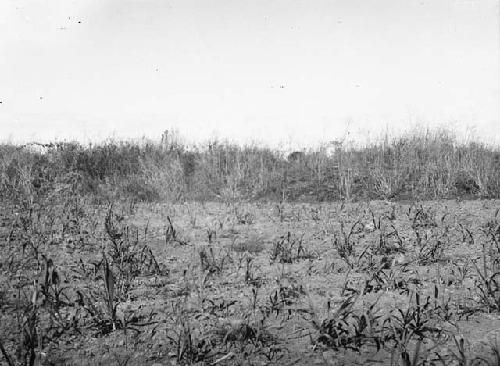 Mound near Suchitoto