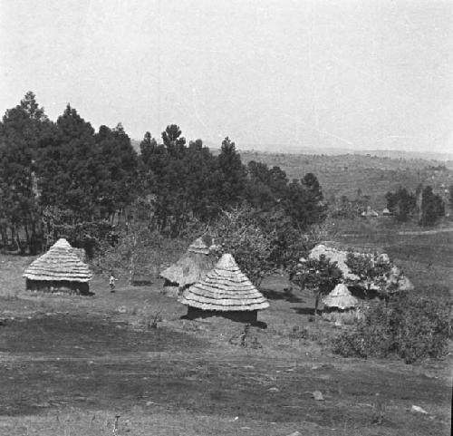 Maragoli huts in mining area near Kaimosi