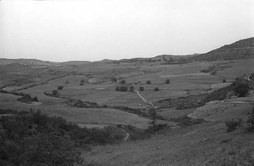 Hilly landscape with road and scattered trees