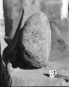 Metate - edge