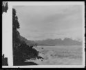 Water in jungle landscape