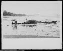 Men working in water in jungle