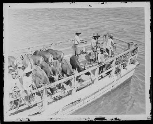 Men and animals on boat