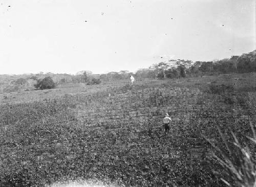 Mound near Suchitoto