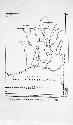 Map of part of San Juan county showing location of Alkali Ridge