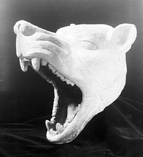 Pottery vessel, in shape of wolf's head