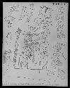 Incised drawing from wall of temples II and V