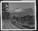 Road in jungle landscape view