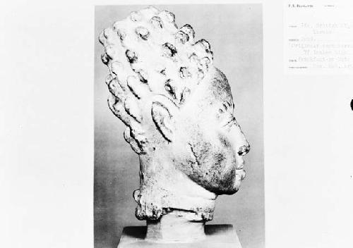 Head original cast, terra cotta