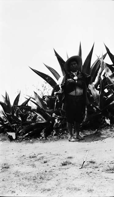 Quiche cargador near maguey plant