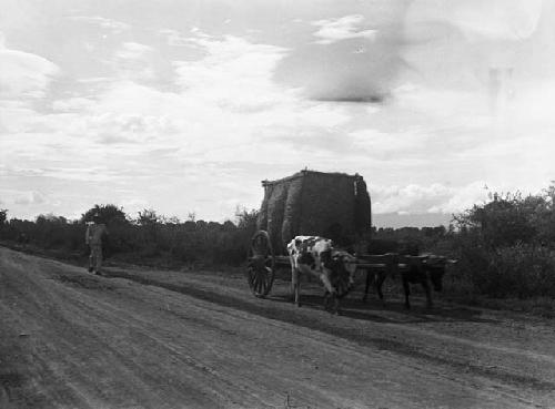 Road scene between Oaxaca and Mitla