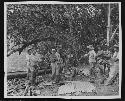 Men working in jungle