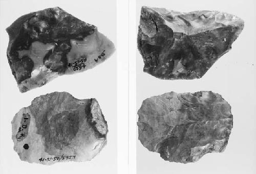 Mousterian type points, Levallois flakes