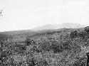 Site of Cueva Hediondo near Suchitato