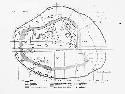 Plan der Wasserburg Von Buchau