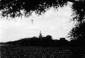 Distant view of chorten in grove of trees