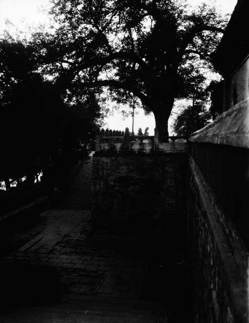 Lower level courtyard and brick path leading to upper level