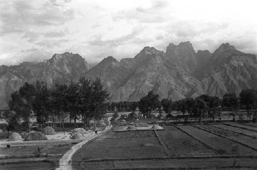 Path through cultivated fields and trees, mountains in distance