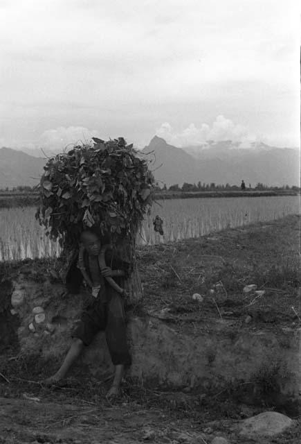 Young man with large bundle of leaves on back