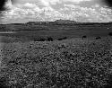 Curtiss Farm site, Basket Maker site south of camp near Largo River