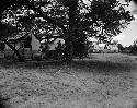 Camp, view of tents