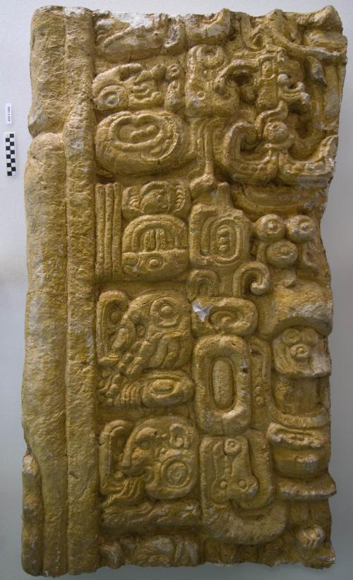 Cast of part of Stela B - south middle