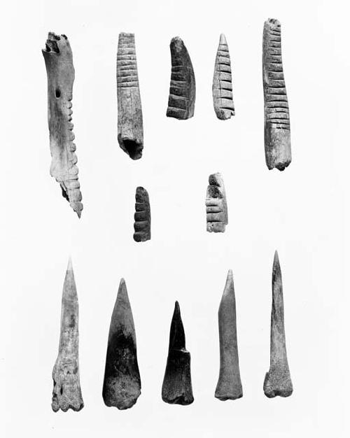 Awls and notched bones from Swarts ruin