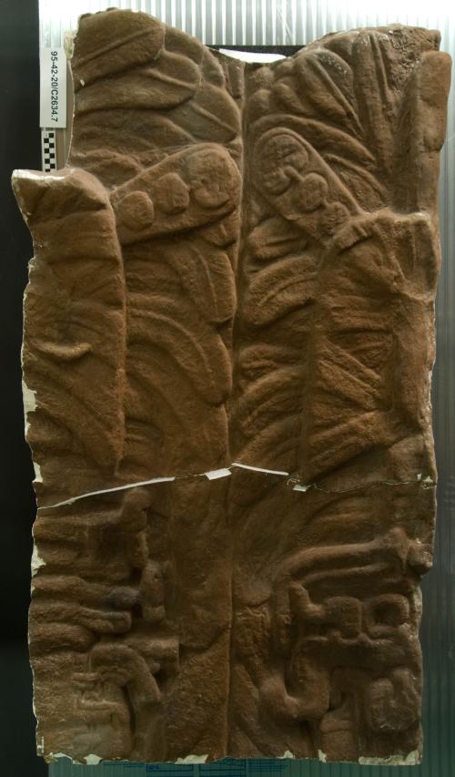 Cast of part of Stela F, Quirigua; west, top, feathers