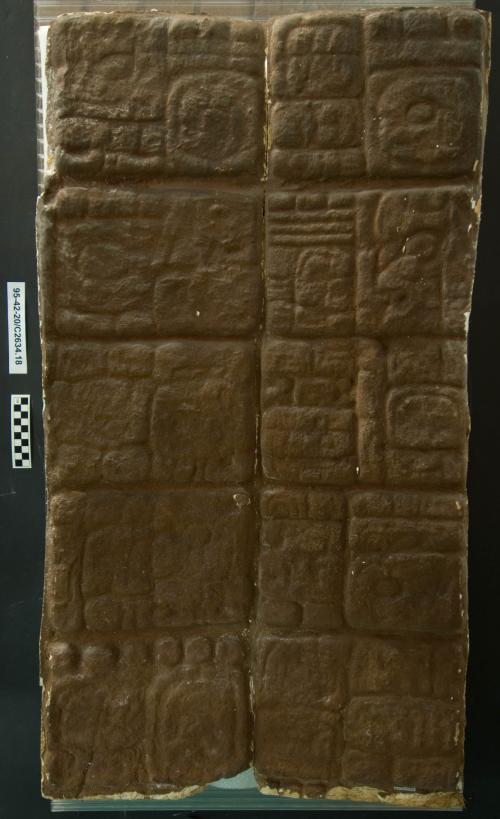 Cast of part of Stela F, Quirigua; west side, glyphs