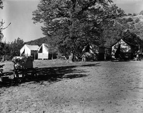 Camp, Quemado