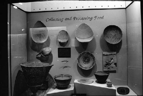 Exhibit case about food