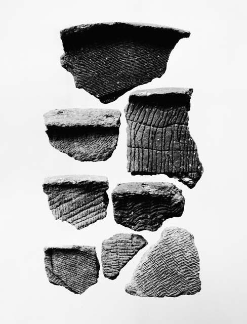 Fragments of pottery from near the mouth of Saline River