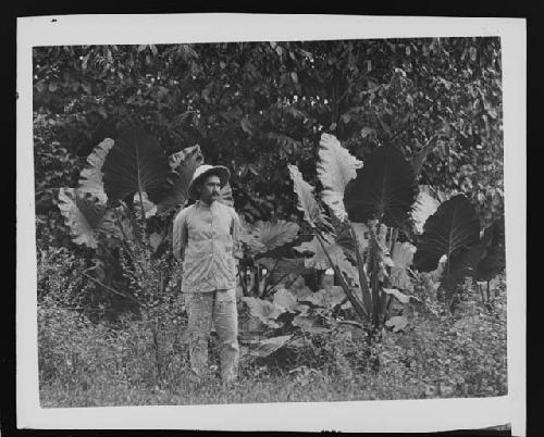 Man in jungle setting