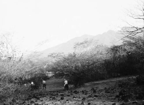 Mound on hacienda Tasagero