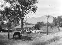 Broad view of Plaza Guyabao, with animals and electric wires