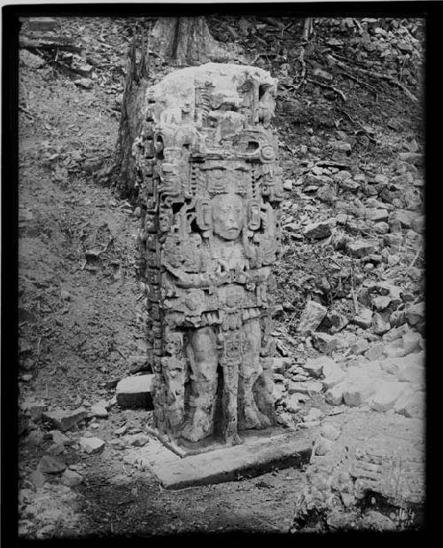 Stela N, front, looking South