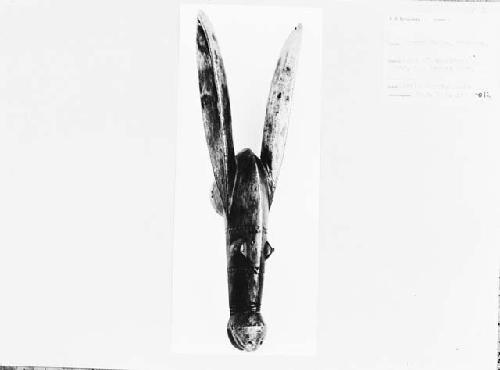 Frontal view of wooden antelope head