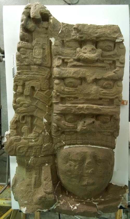 Cast of part of Stela J, Quirigua; top, front head