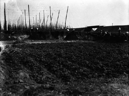 Men and women in woods excavating site