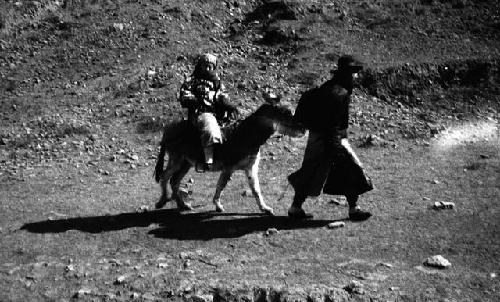 Man leading pony with woman riding