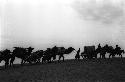 Line of people, camels, horses, carts in silhouette