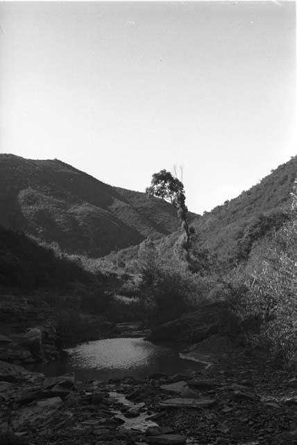 Man beside mountain pool